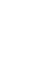 Renaissance Group griffin